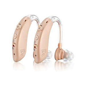 BTE (Behind the Ear)